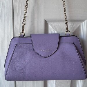 NWT Radley London leather clutch purse with chain.